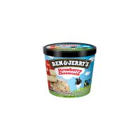 Sorvete Ben&Jerry's  Strawberry Cheesecake | Caixa com 12 - Cod. 76840560363C12